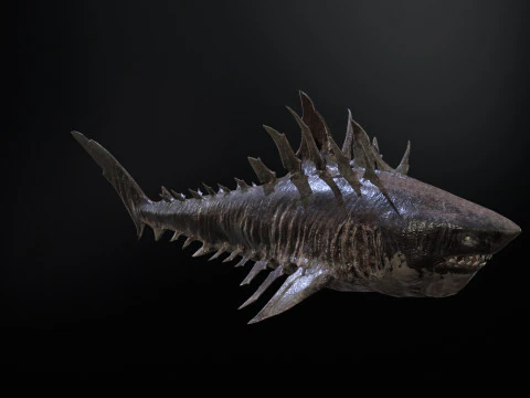 Squalo4 Modello 3D