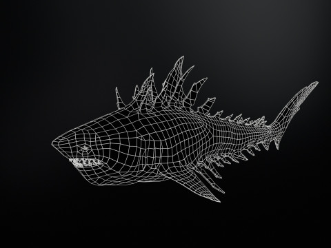 Shark4 3Dモデル