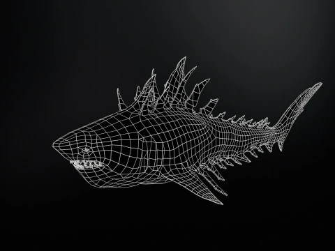 Squalo4 Modello 3D