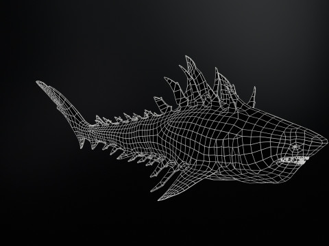 Shark4 3Dモデル