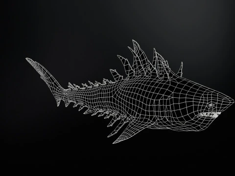 Squalo4 Modello 3D