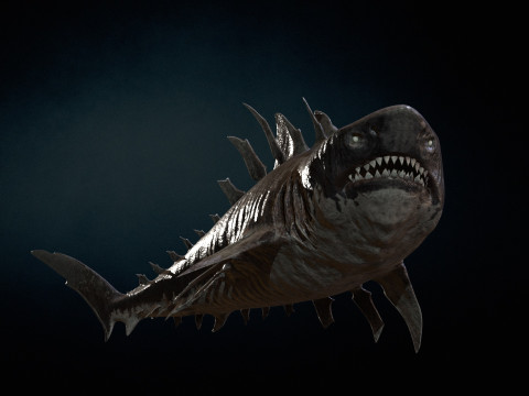 Shark4 3Dモデル