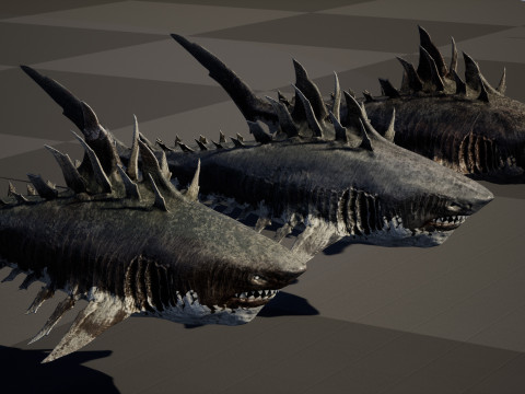 Shark4 3Dモデル