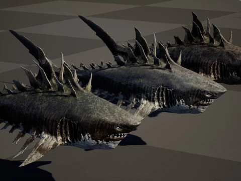 Squalo4 Modello 3D