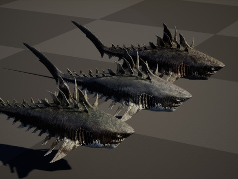 Shark4 3Dモデル