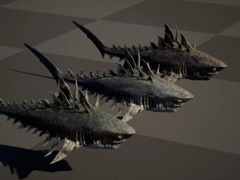 Squalo4 Modello 3D