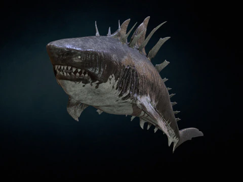 Squalo4 Modello 3D