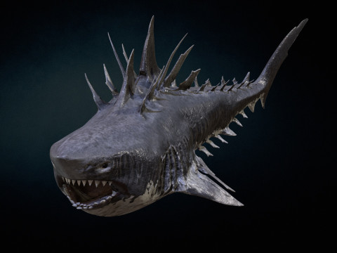 Shark4 3Dモデル