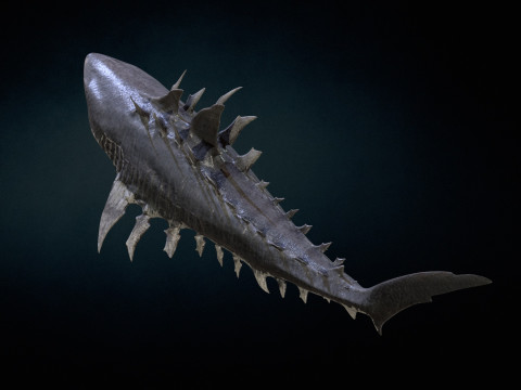 Shark4 3Dモデル