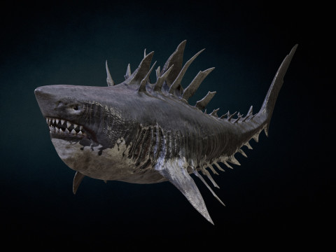 Shark4 3Dモデル