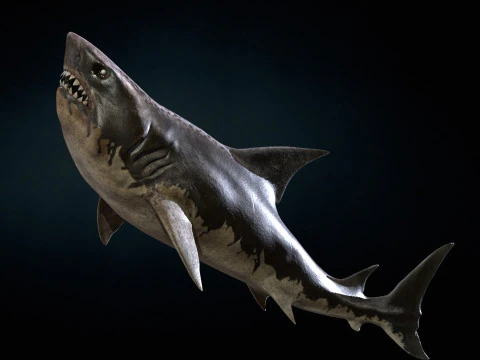 Squalo5 Modello 3D