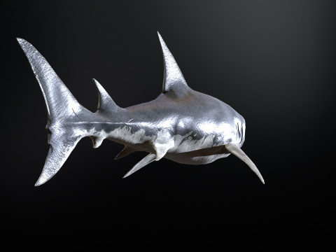 Shark5 3D Model