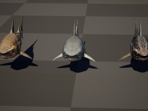Shark5 3D Model