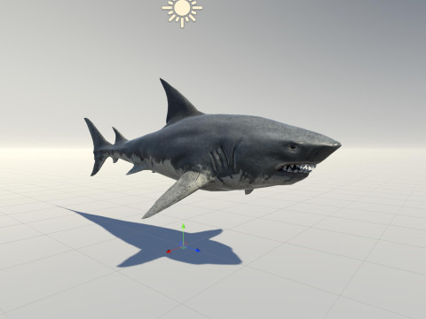 Shark5 3D Model