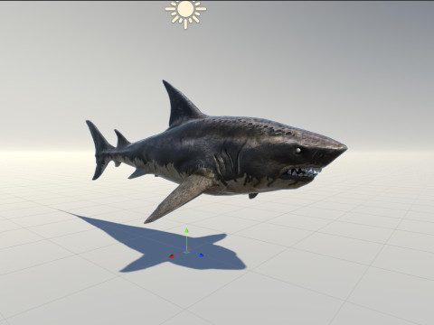 Shark5 3D Model