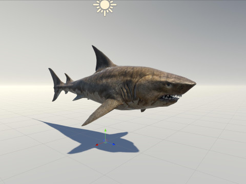 Shark5 3D Model