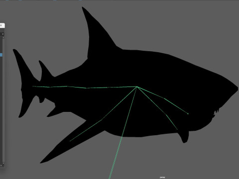 Shark5 3D Model