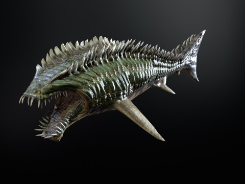 Shark6 3D 模型