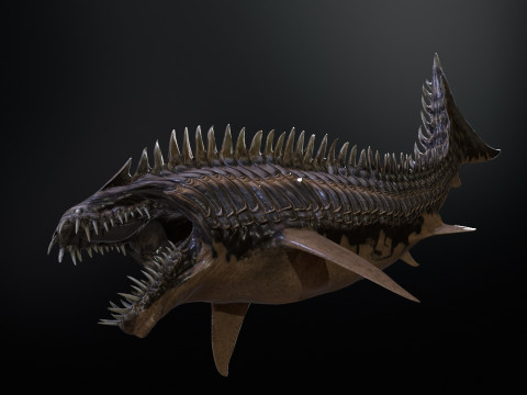 Shark6 3D 模型