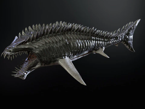 Squalo6 Modello 3D