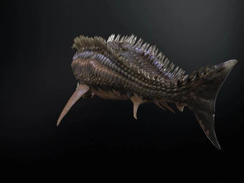 Squalo6 Modello 3D