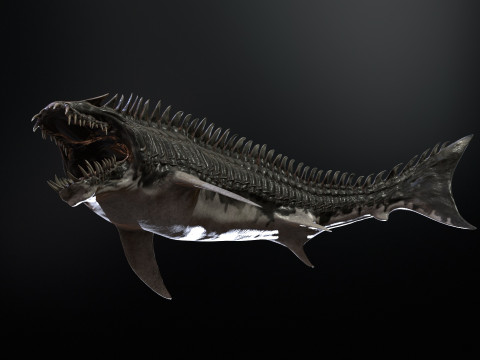 Shark6 3D 模型