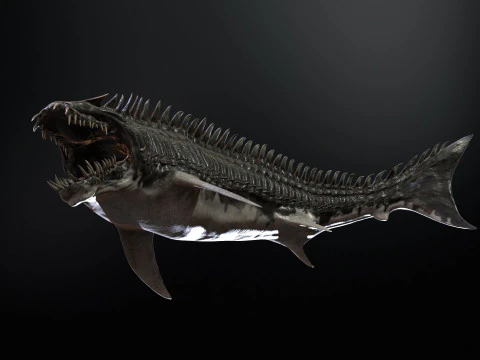 Squalo6 Modello 3D