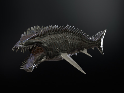 Shark6 3D 模型