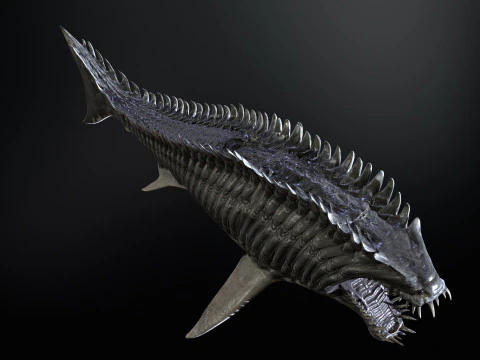 Squalo6 Modello 3D