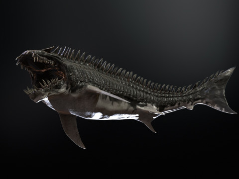 Shark6 3D 模型
