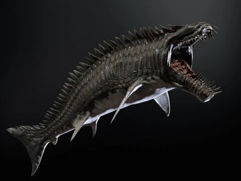Squalo6 Modello 3D