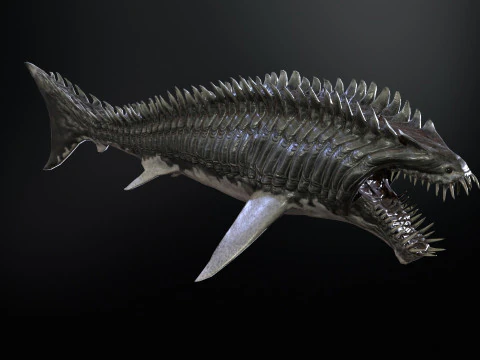 Squalo6 Modello 3D