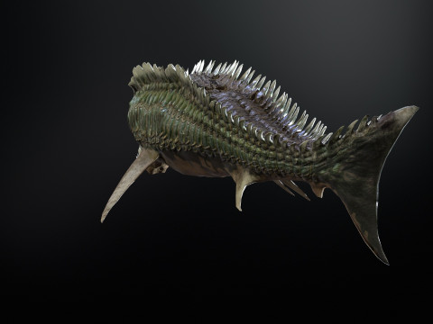 Shark6 3D 模型