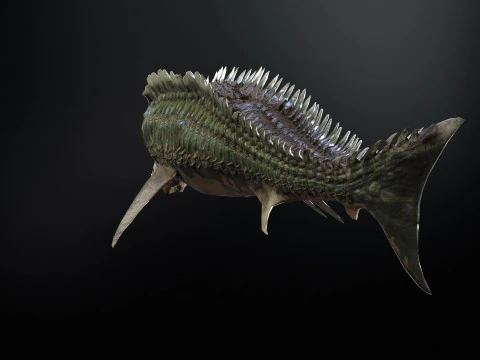 Squalo6 Modello 3D