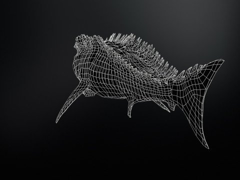 Shark6 3D 模型