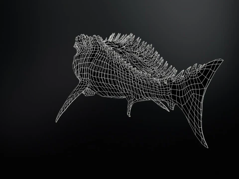 Squalo6 Modello 3D