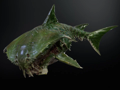 Tubar&atilde;o7 Modelo 3D