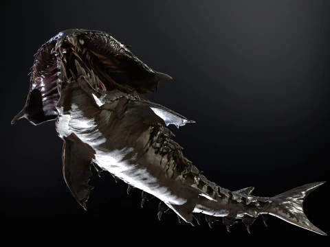Shark7 3D Model