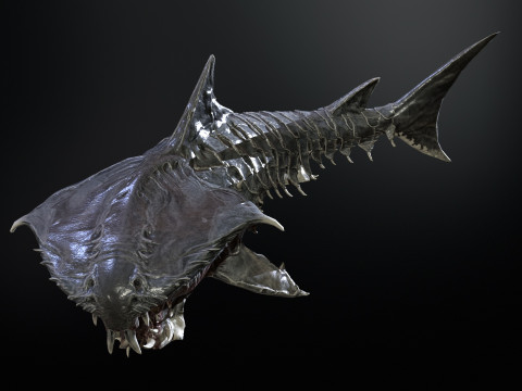 Shark7 3Dモデル