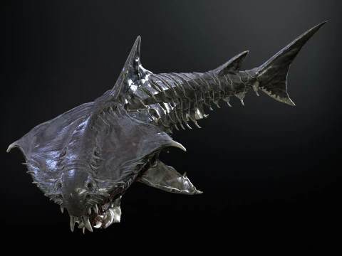 Shark7 3D Model