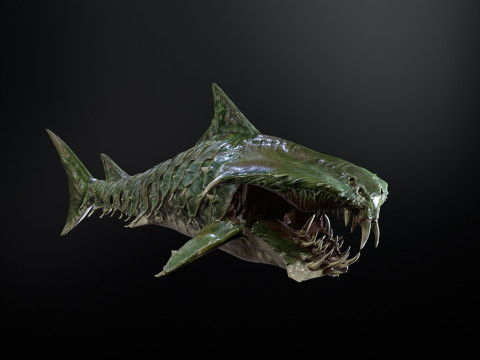 Shark7 3Dモデル