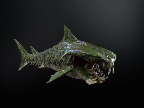 Shark7 3D Model