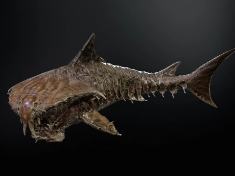 Shark7 3D Model