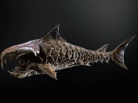 Shark7 3D Model