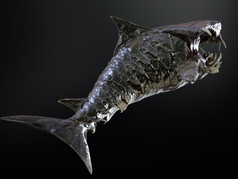 Shark7 3Dモデル
