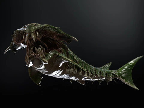 Shark7 3D Model