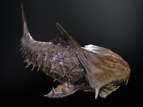 Shark7 3Dモデル