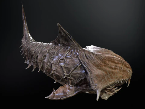 Shark7 3D Model