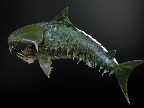 Shark7 3D Model
