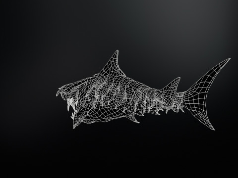 Shark7 3Dモデル